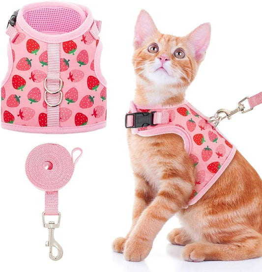 Cat Harness with Leash Escape Proof - Fashionable Mesh Cat Dog Walking Harness Leads, Adjustable for Kitties Puppies Small Animals