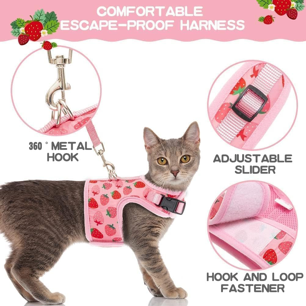 Cat Harness with Leash Escape Proof - Fashionable Mesh Cat Dog Walking Harness Leads, Adjustable for Kitties Puppies Small Animals